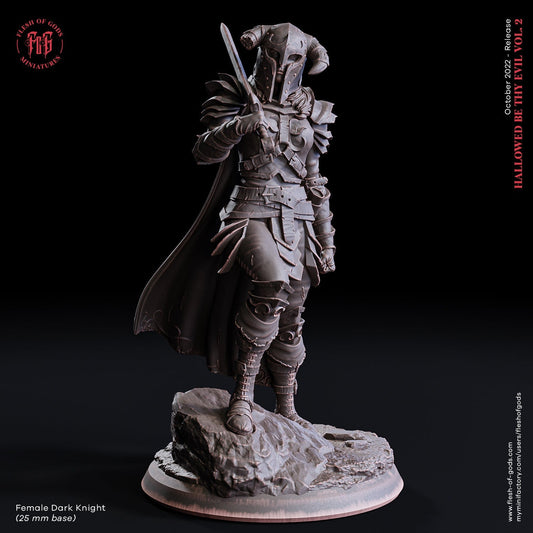The Female Dark Knight | Flesh of Gods | Hero | 3D Printed Resin Miniature | Dungeons and Dragons | Pathfinder | Tabletop Role Playing | D&D