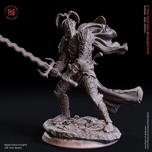 The Male Dark Knight | Flesh of Gods | Hero | 3D Printed Resin Miniature | Dungeons and Dragons | Pathfinder | Tabletop Role Playing | D&D