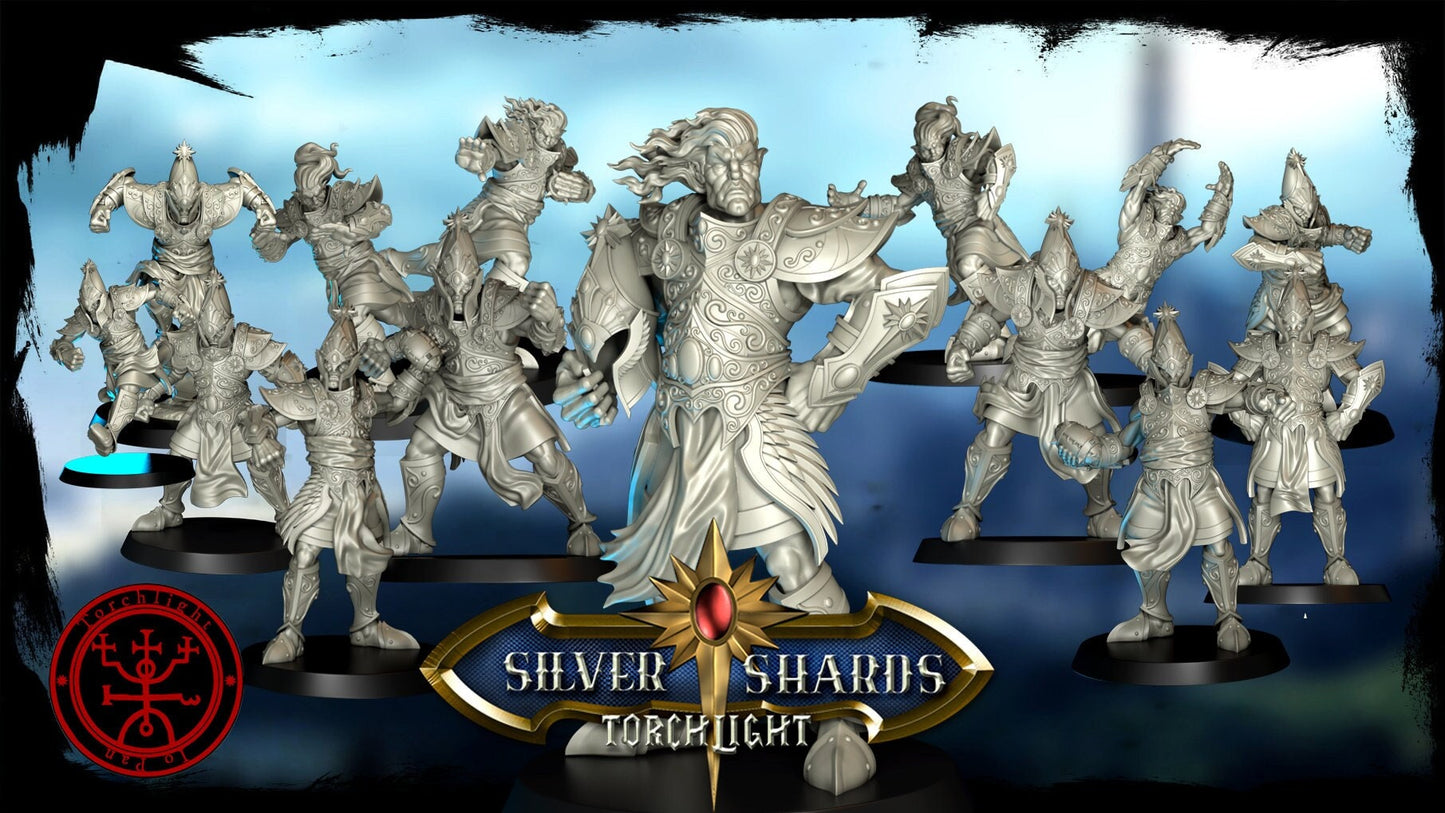 The Silver Shard Team | TorchLight | Guild Bowl |